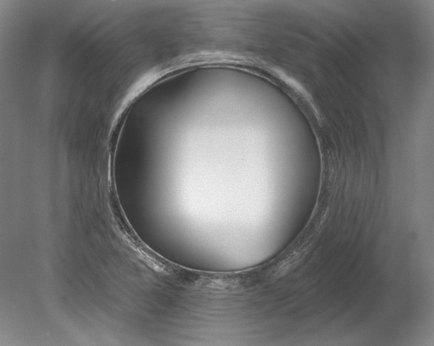 X0000080721365200701021043