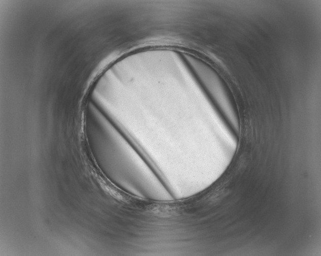 X0000080721366200701021043