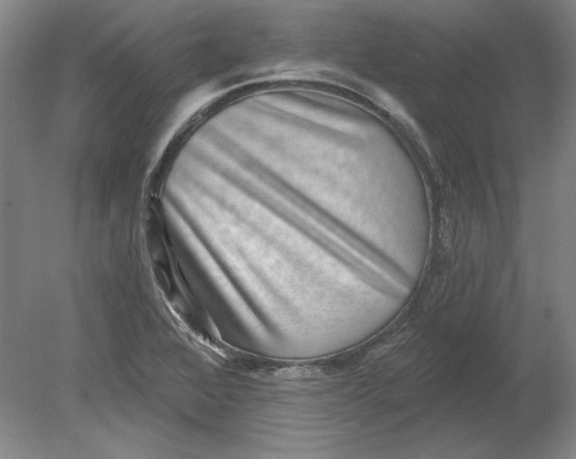 X0000080721368200701021043