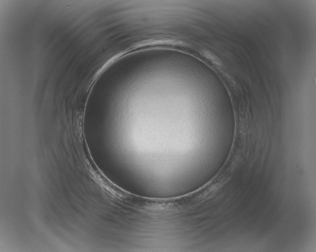 X0000080721369200701021043