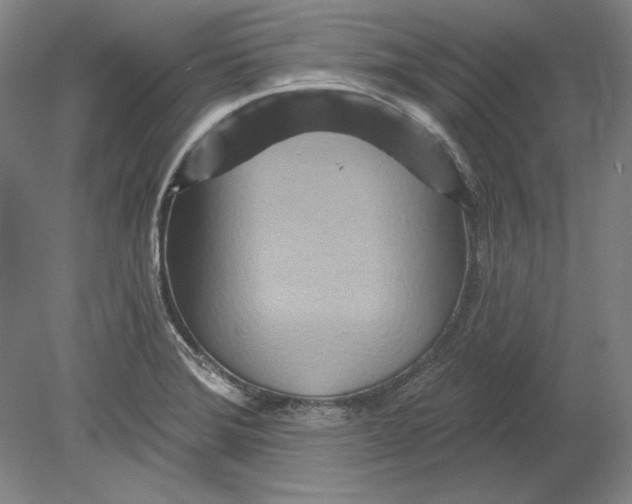 X0000080721372200701021043