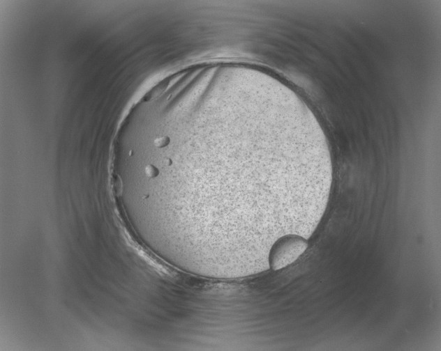 X0000080721374200701021043