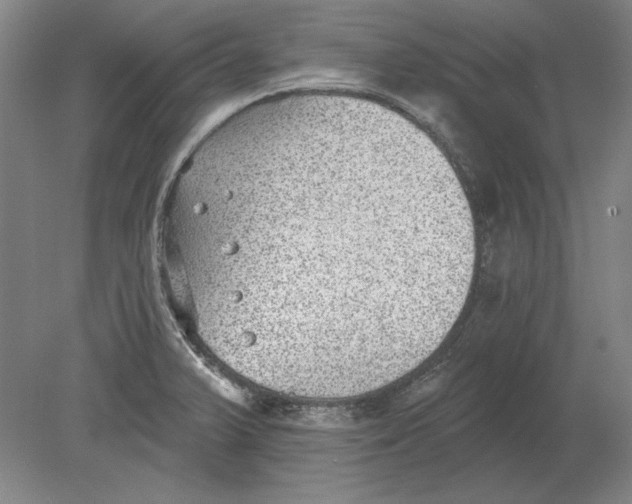 X0000080721375200701021043