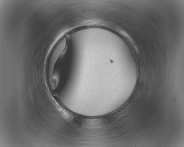 X0000080721376200701021043