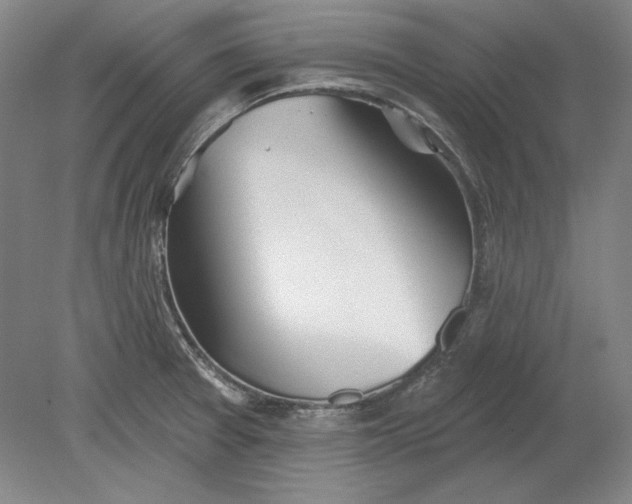 X0000080721377200701021043