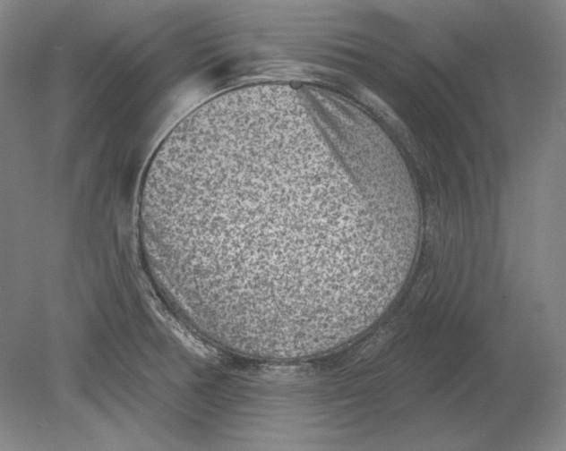 X0000080721378200701021043