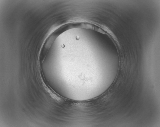 X0000080721380200701021043