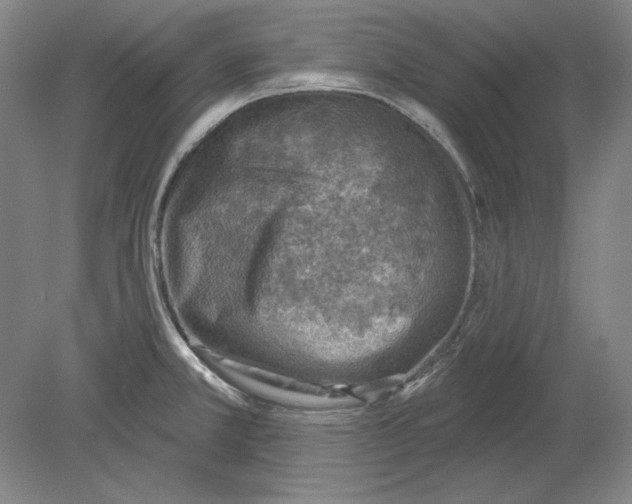 X0000080721381200701021043