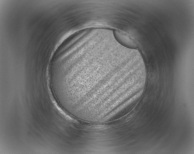 X0000080721382200701021043