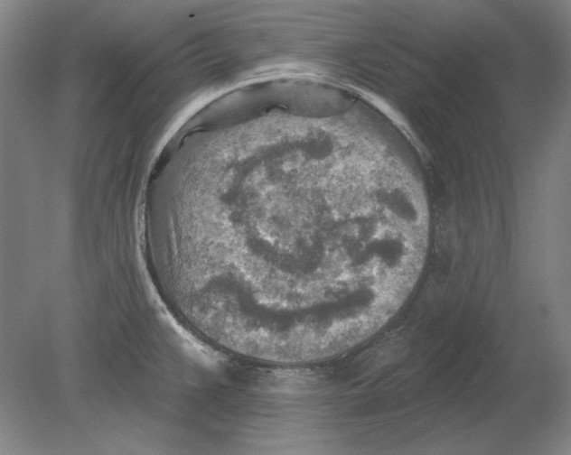 X0000080721383200701021043