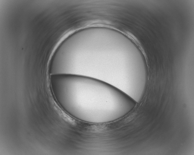 X0000080721384200701021043