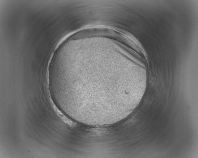 X0000080721388200701021043