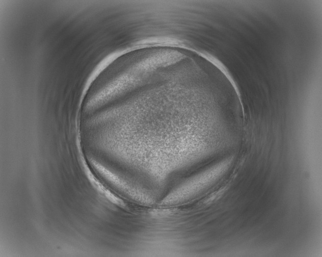 X0000080721389200701021043