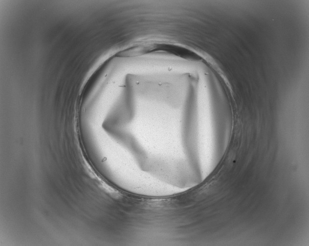 X0000080721390200701021043