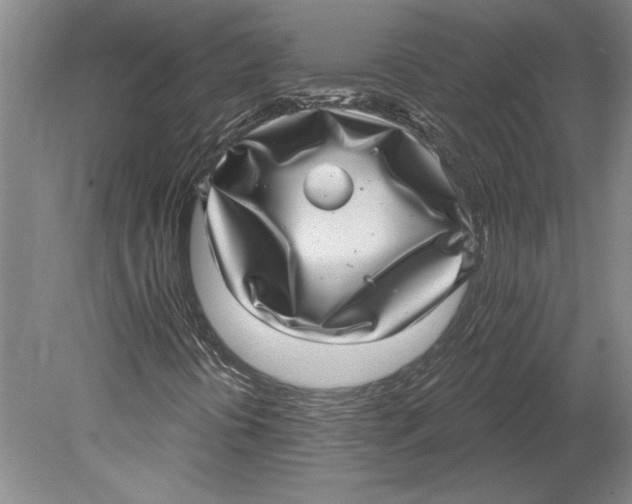 X0000080721394200701021042