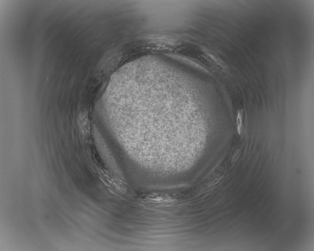 X0000080721395200701021042