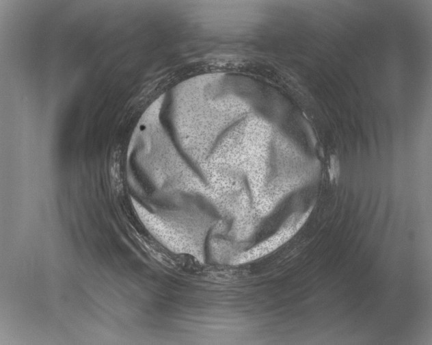 X0000080721396200701021042