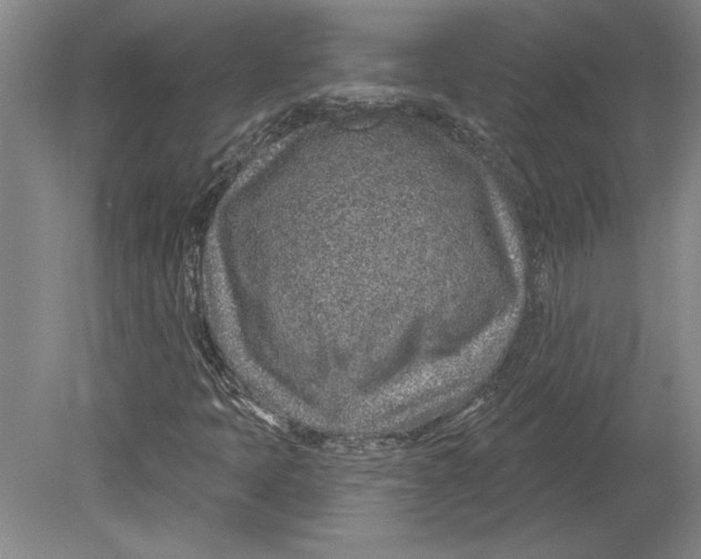 X0000080721397200701021042