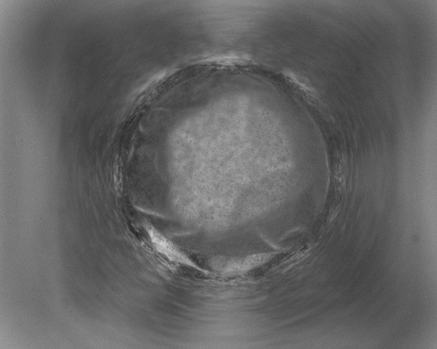 X0000080721398200701021042