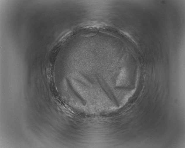 X0000080721399200701021042