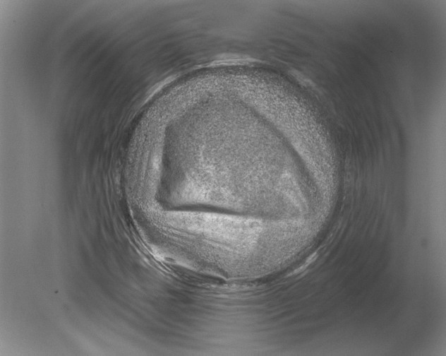 X0000080721401200701021042