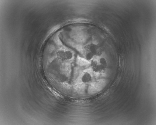 X0000080721405200701021042