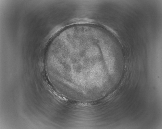 X0000080721407200701021042