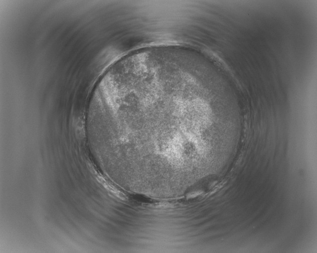 X0000080721409200701021042