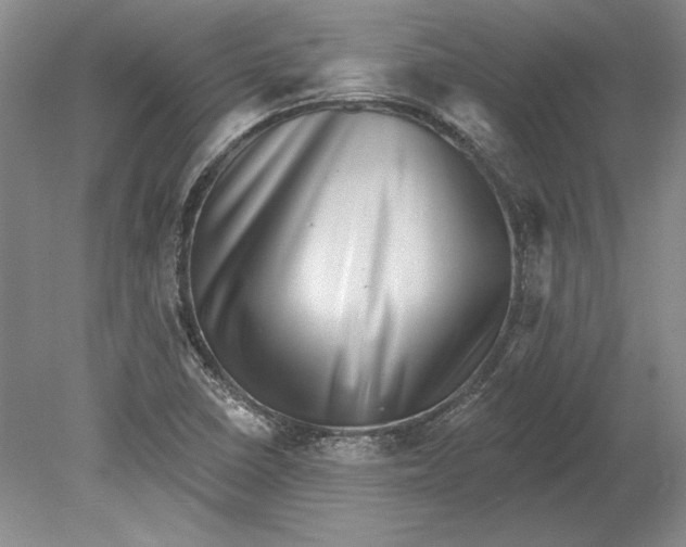 X0000080721410200701021042