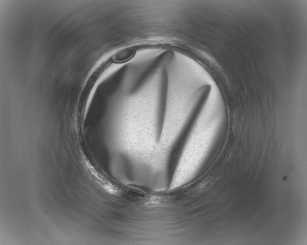 X0000080721412200701021042