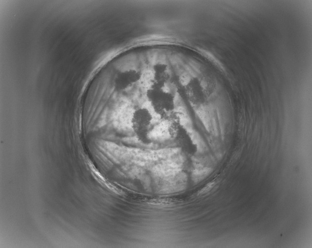 X0000080721413200701021042