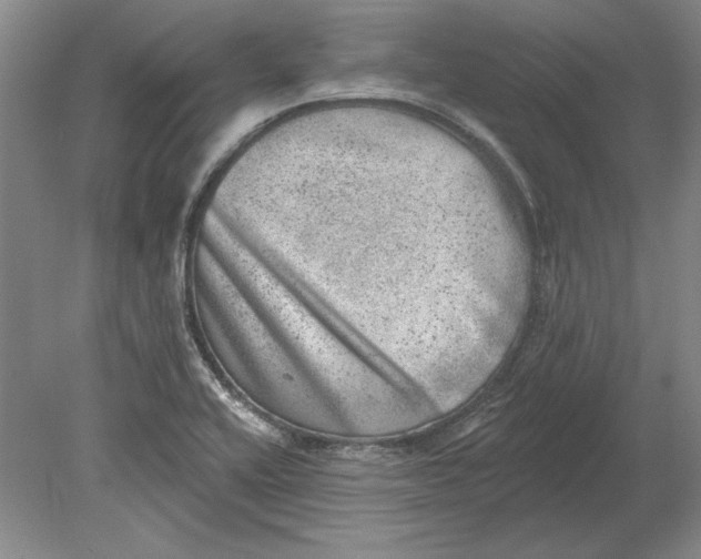 X0000080721416200701021042