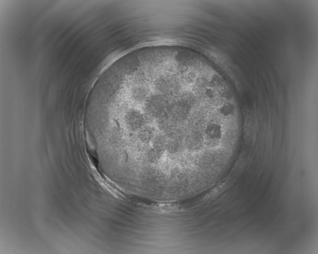 X0000080721417200701021042