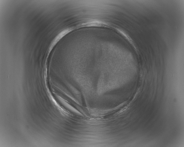 X0000080721418200701021042