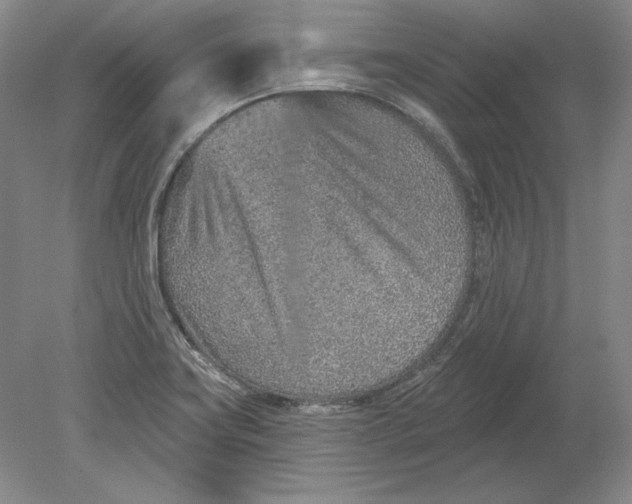 X0000080721419200701021042