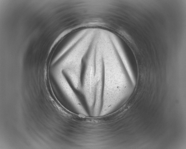 X0000080721420200701021042