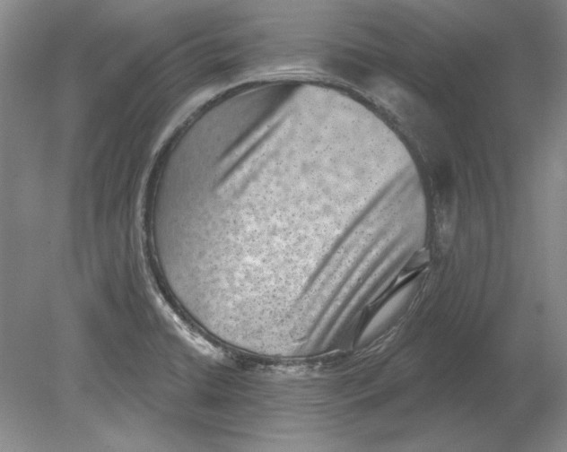 X0000080721422200701021042