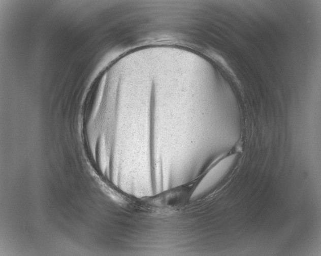 X0000080721424200701021042