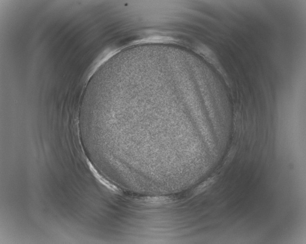 X0000080721425200701021042