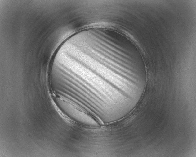 X0000080721426200701021042