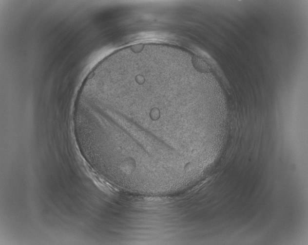 X0000080721427200701021042