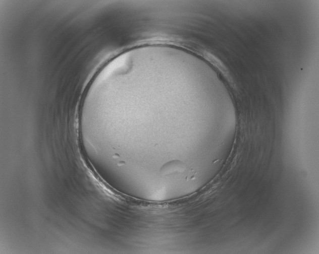 X0000080721428200701021042