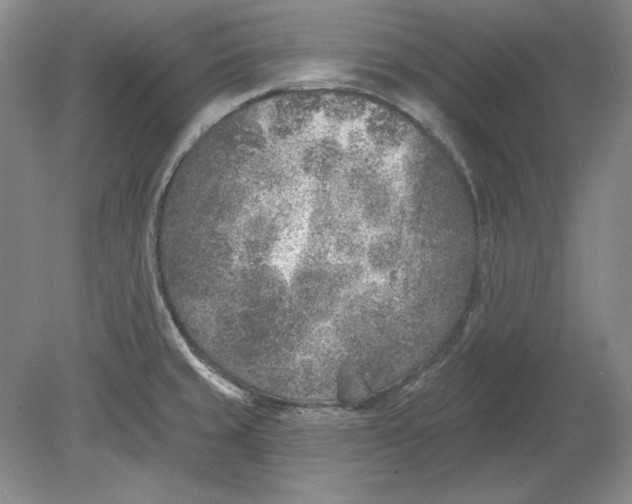 X0000080721429200701021043