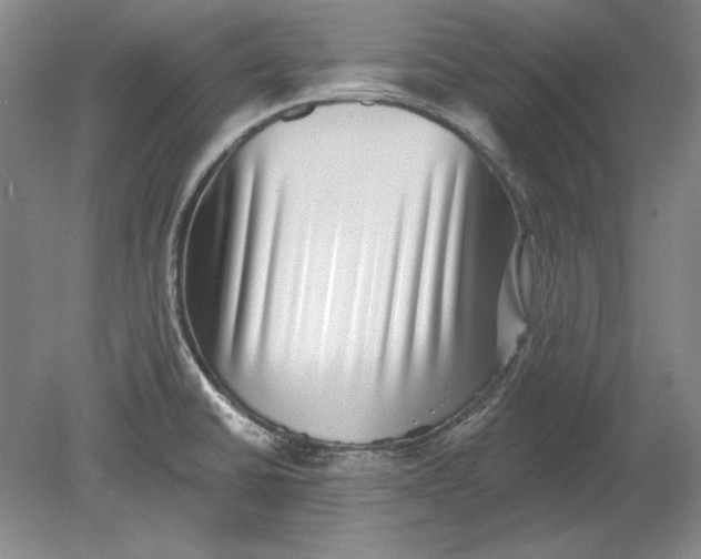 X0000080721430200701021043