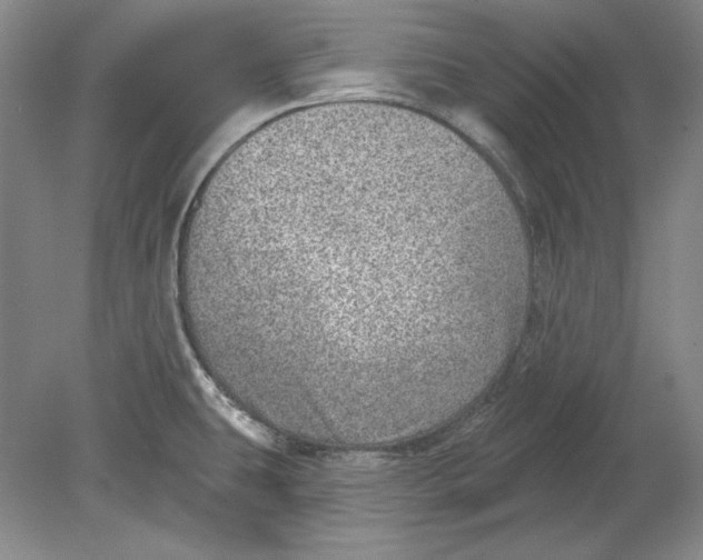 X0000080721431200701021043