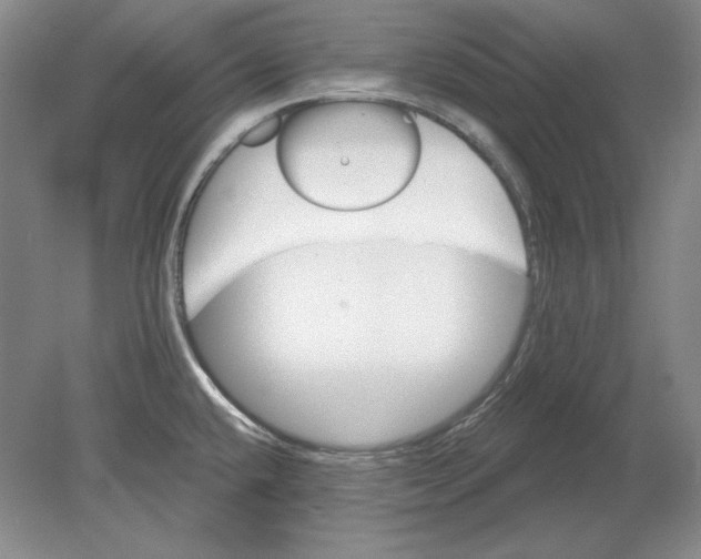 X0000080721432200701021043