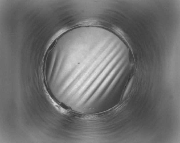 X0000080721434200701021043