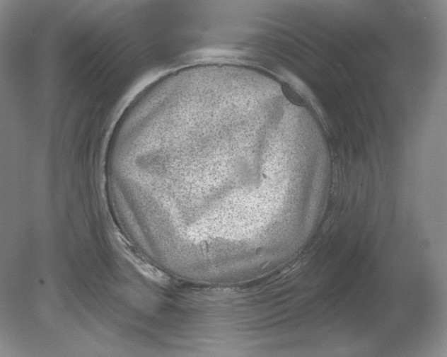 X0000080721435200701021043