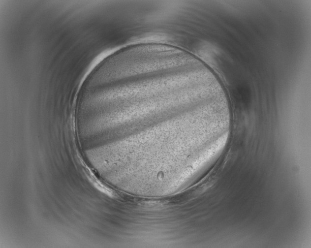 X0000080721436200701021043