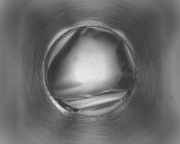 X0000080721438200701021043